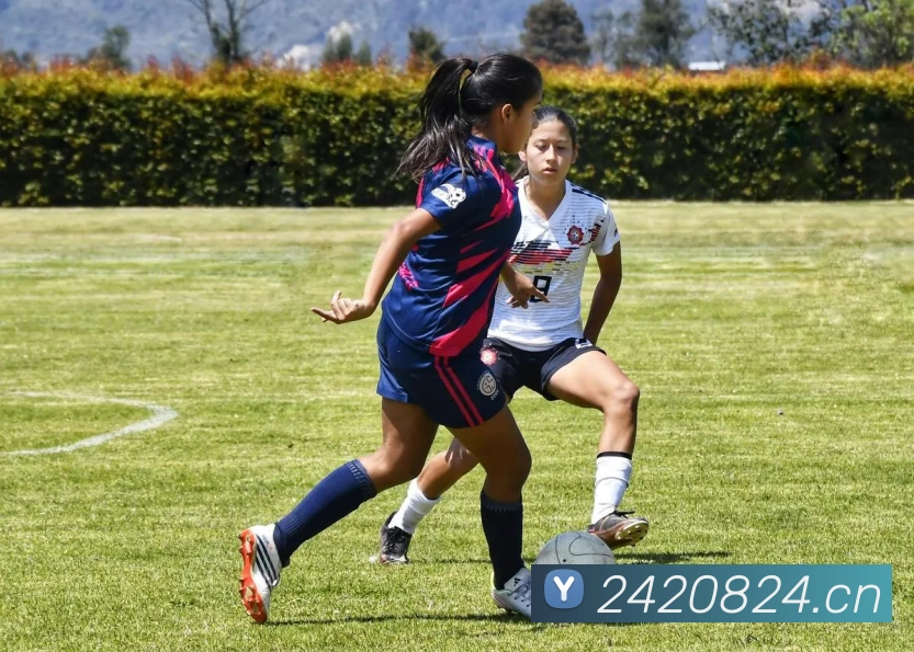 易倍emc网页登录APP 高清赛事图